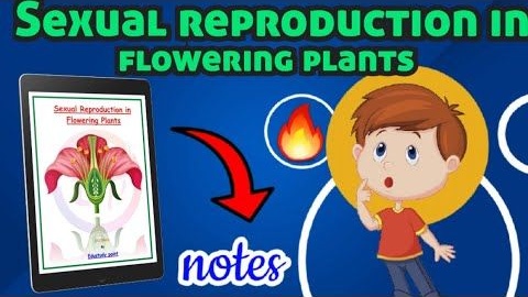 Biology